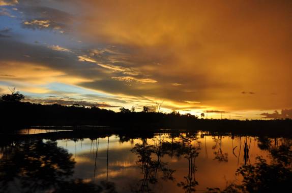 Maravilhoso pôr-do-sol nos alagados entre Roraima e Amazonas